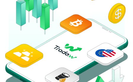 Master the Forex Market with a Forex Demo Account from Tradewill