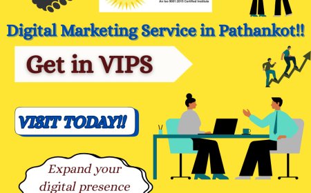 Digital Marketing Service in Pathankot |Vipstudies