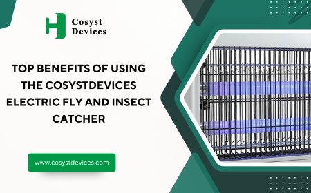 Top Benefits of Using the CosystDevices Electric Fly and Insect Catcher