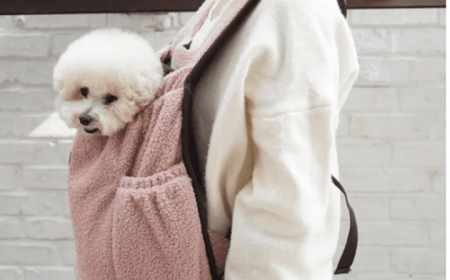 Choosing the Right Dog Carrier for Comfortable Travel