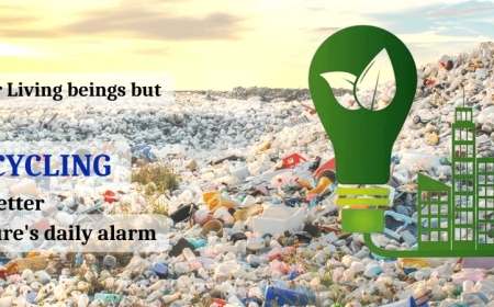 How EPR in Waste Management Is Driving Corporate Sustainability in India - DCC Group
