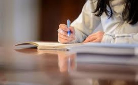 Proof in Practice: Trusted Evidence-Based Writing Help for BSN Success