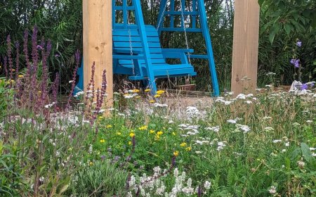 Transform Your Outdoor Space with Professional Landscape Gardening Services in Cheshire