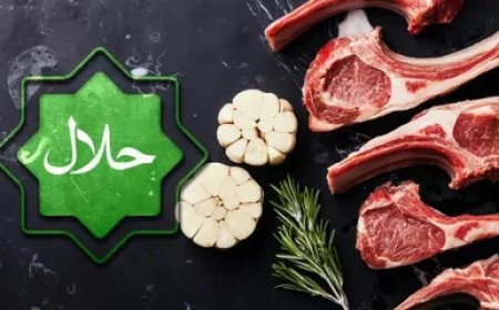 Halal Meat in Japan: Supermarkets, Stores & Online Options