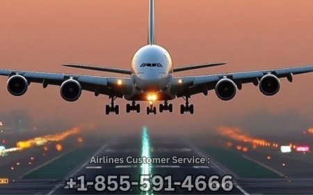 15 Ways to Call How can i talk to human at Expedia: A Step by step Guide