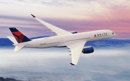 25 Ways to Contact to Live Agent at Delta Airlines Through Contact Options Step by Step Guide