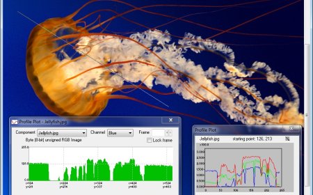 How Forensic Video Analysis and Video Enhancing Software Transform Investigations