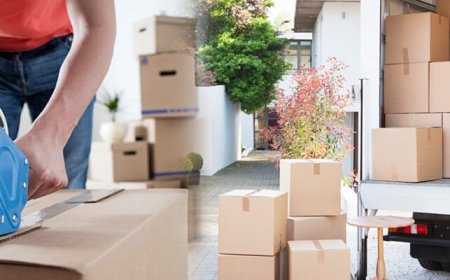 How Do I Choose Reliable and Insured House Removalists?