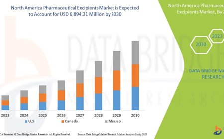North America Pharmaceutical Excipients Market: Growth Opportunities and Forecast to 2030