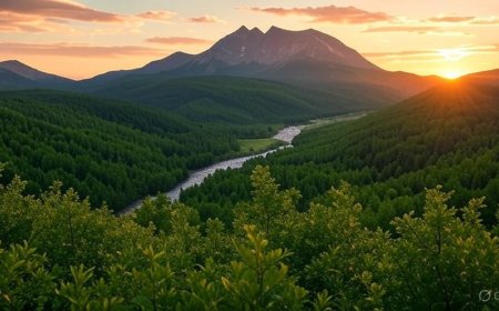 How Directory Submission Services Benefit One Dial USA