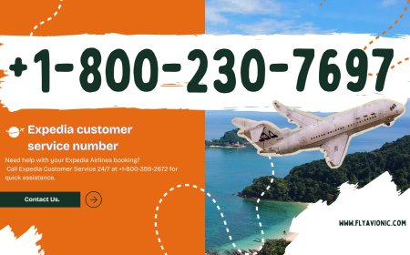 How Can I Talk to Live Person at Expedia? Let’s Plan This!