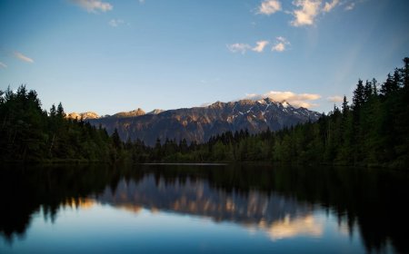 Breaking the Stigma: How Cannabis is Changing Public Perception in 2025