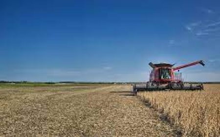 Farm Fuel Suppliers: Essential Partners for Agricultural Success