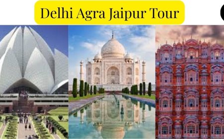 Delhi Agra Jaipur Tour Packages: Seamless Journeys, Lasting Memories
