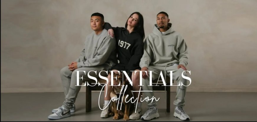 Essential Hoodie Quality Review: Why It Stands Out