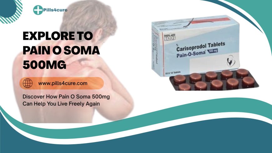 What are the big 3 for lower back pain?