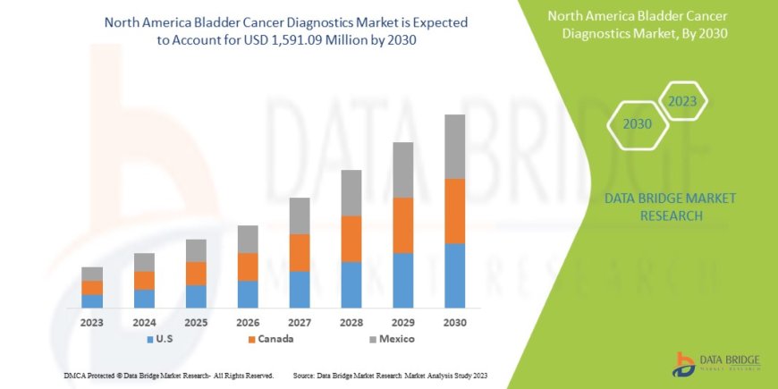 North America Bladder Cancer Diagnostics Market Demand: Growth, Share, Value, Size, and Insights