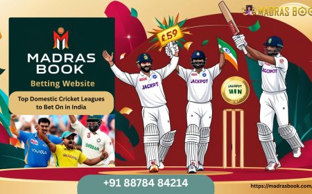 Best Online Cricket ID Free in India – With WhatsApp Number Access