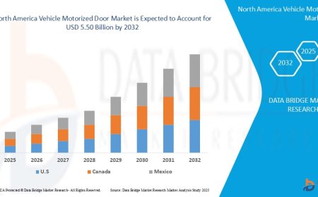 Europe Vehicle Motorized Door Market Production, Demand and Business Outlook 2032