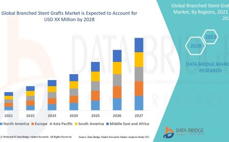 Branched Stent Grafts Market Production, Demand and Business Outlook 2028