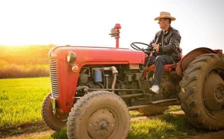 Types of Heating Oil in the UK: A Comprehensive Guide