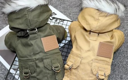 Keep Your Tiny Pup Warm: A Simple Guide to Chihuahua Winter Clothes 