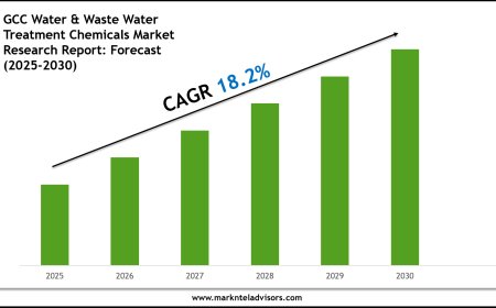 GCC Water & Waste Water Treatment Chemicals Market Forecast: Growth Drivers & Outlook to 2030