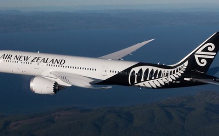 Everything You Need to Know About the Extension Visitor Visa in NZ