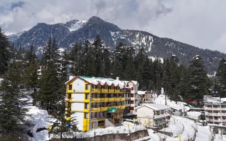Chandigarh to Manali Package for a Scenic Mountain Getaway