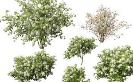 Enscape Plants Model for Vectorworks & ArchiCAD Free