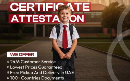 Educational Attestation for Teachers, Engineers & Healthcare Jobs in UAE