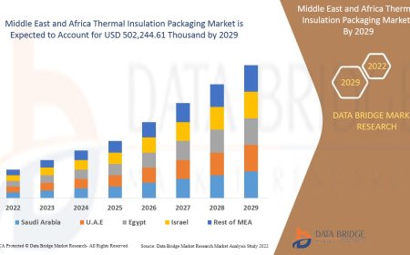 Middle East and Africa Thermal Insulation Packaging Market  Size, Status and Industry Outlook During 2029