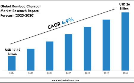 Bamboo Charcoal Market Forecast: Growth Drivers & Outlook to 2030