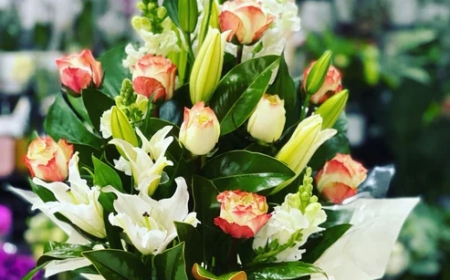 Why Locals Choose Flora Plant on Chapel as Their Go-To Florist in Hawthorn
