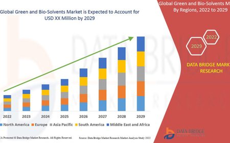 Green and Bio-Solvents Market Size, Status and Industry Outlook During 2029
