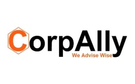 Business Setup Consultants in India: Start Your Venture with Confidence