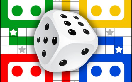 What Is the Experience of the Ludo Game You Play?