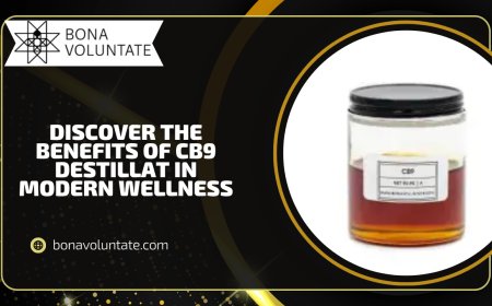 Discover the Benefits of CB9 Destillat in Modern Wellness