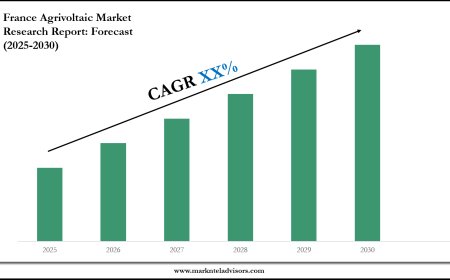 2025–2030 France Agrivoltaic Market Snapshot: Growth, Value & Forecast