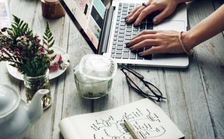 Exploring the world of Insights media solutions