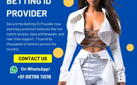 Case study insights on ID misuse and fraud detection