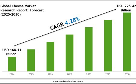 Strategic Insights on Cheese Market: Forecast, Size & Trends