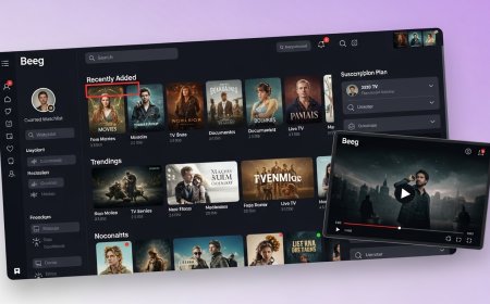 Beeg Traffic Trends: What the Data Says