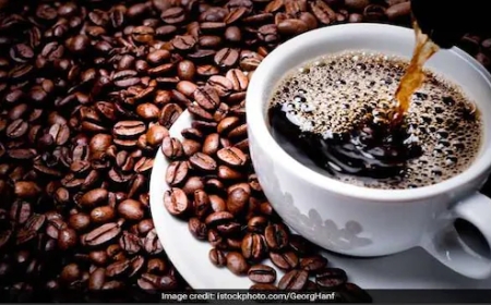 The Importance of Hands-on Coffee Training for Beginners