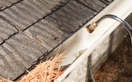 Gutter Cleaning Clyde – Trusted Local Experts Keeping Your Gutters Flowing Freely