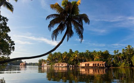 Kerala Tour Packages under 10000: Best Budget Trips to Kerala