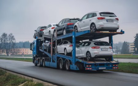 Reliable Car Transport Company in Florida