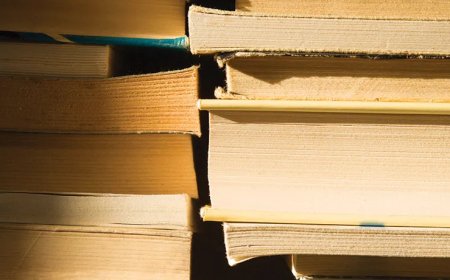Discovering Hidden Literary Gems One Book at a Time