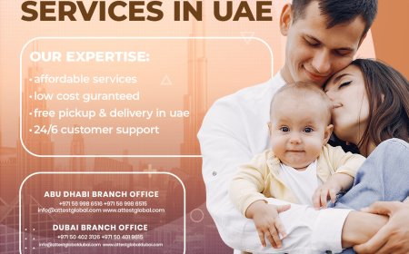 Professional Birth Certificate Attestation in Dubai & Abu Dhabi