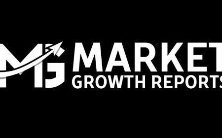 Virtual Home Staging Software Market Size Report, 2025 - 2033